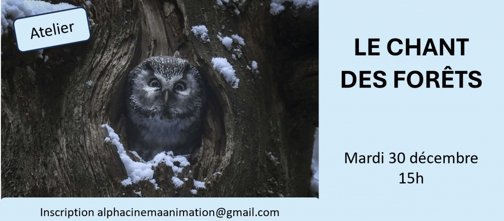 actualité LE CHANT DES FORETS