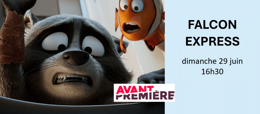 actualité Falcon express