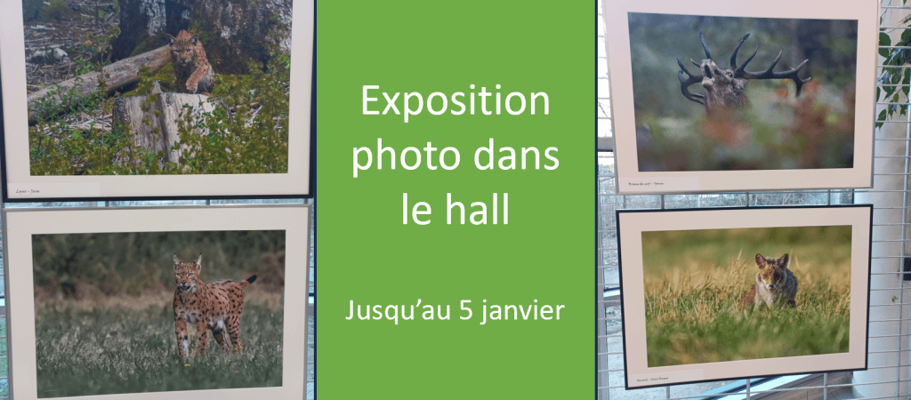 actualité EXPO PHOTO